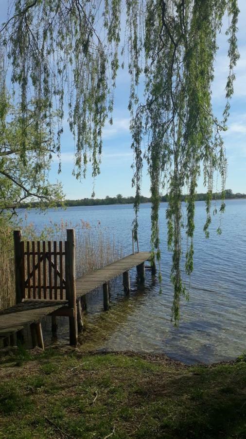 Appartements Am Schaalsee Zarrentin am Schaalsee 외부 사진